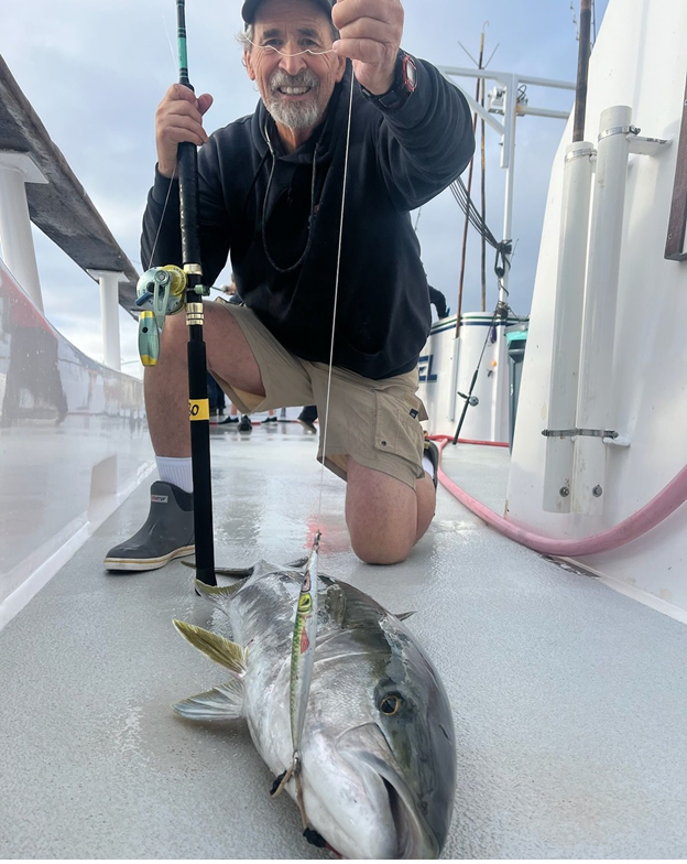 A Deep Dive into the Value and Performance of Accurate Reels A Deep Dive into the Value and Performance of Accurate Reels