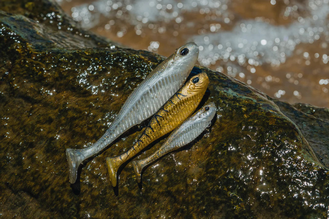 Nomad Live Ops Dozer Minnow