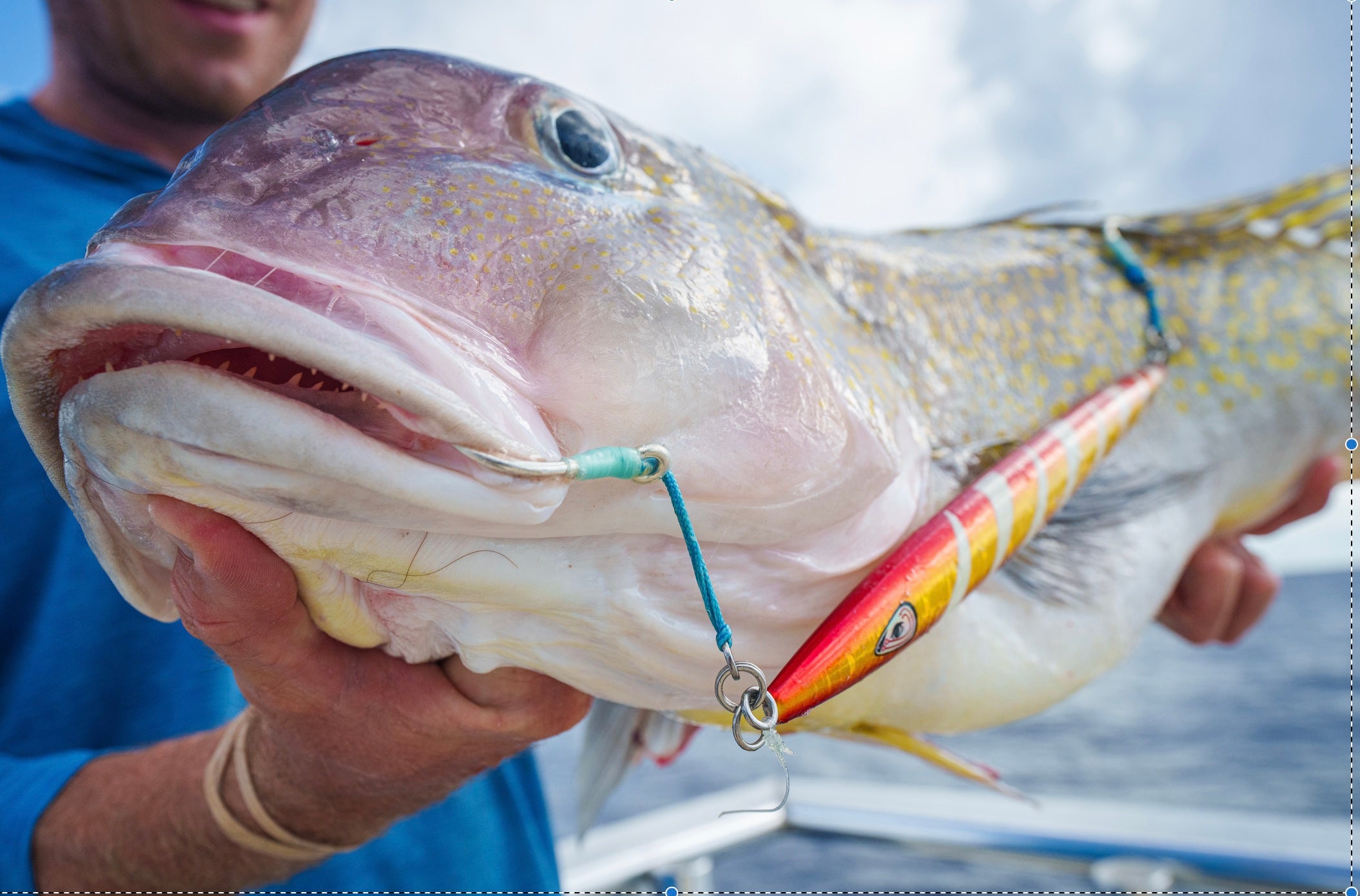 Golden Tilefish on a Johnny Jigs Gold Red Torpedo Slow Pitch Jig