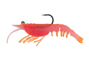 Nomad Live Ops Tideline Shrimp Rigged
