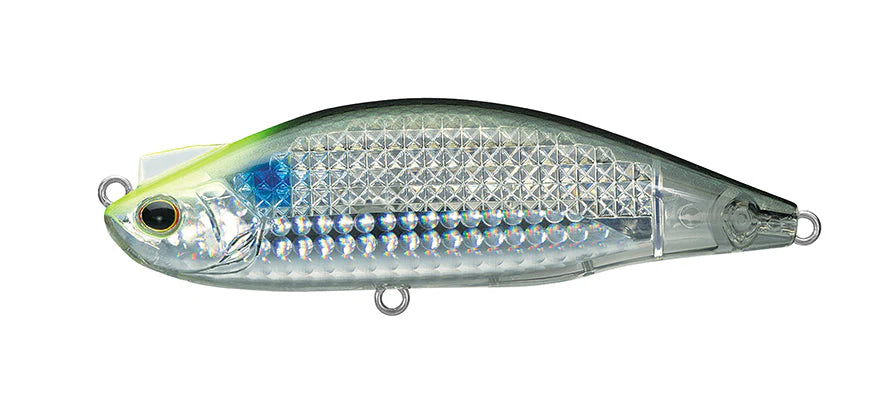 DAIWA - Water Amazon.com : Daiwa Genpau Ishidai Light 20H, 2018 Model