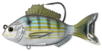 Live Target PinFish