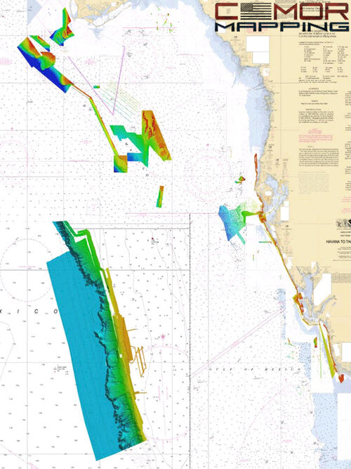 CMOR MAPPING CHIPS - WEST FLORIDA (Middle Grounds)