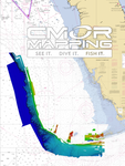 CMOR MAPPING CHIPS - SW FLORIDA