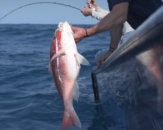 Spotlight on Fishing Tools