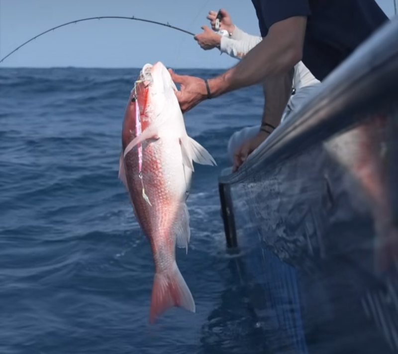 A Spring Pre-Fishing Checklist: Check Your Slow Pitch Jigging Rods, Li