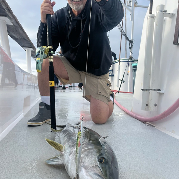 A Deep Dive into the Value and Performance of Accurate Reels