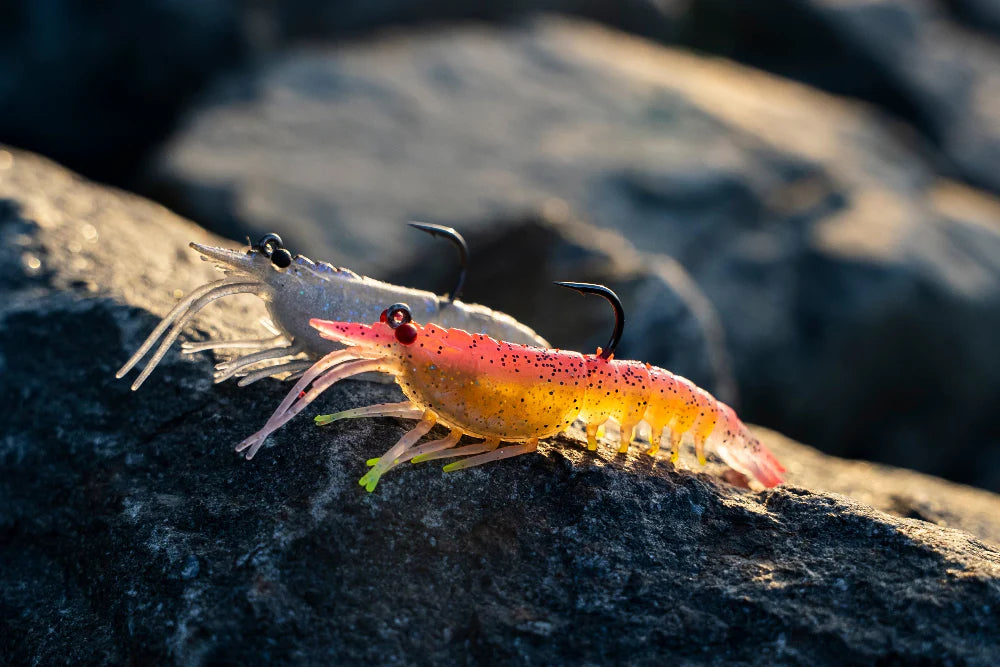 Nomad Live Ops Tideline Shrimp Rigged