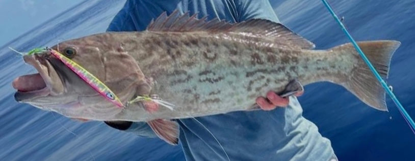 Flatty Watermelon Slow Pitch Jig