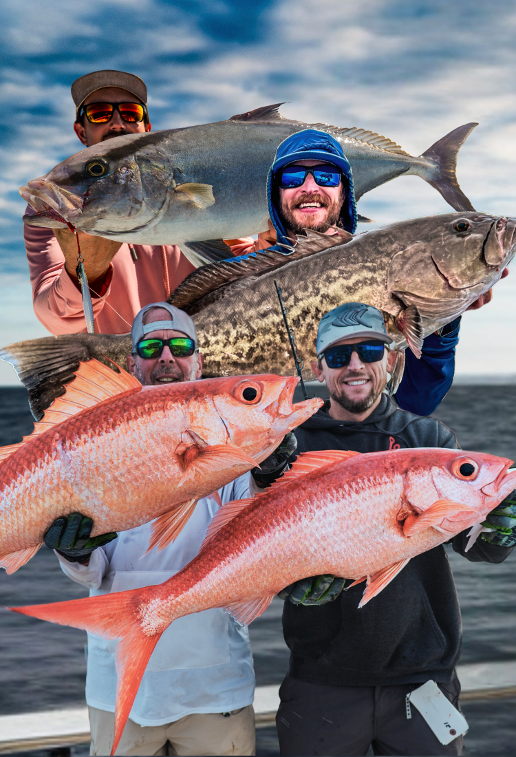 Johnny Jigs Saltwater Jigs and Tackle Johnny Jigs Saltwater Jigs and Tackle