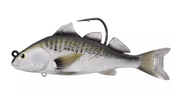 Live Target Croaker Swimbait