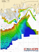 CMOR Mapping Chips