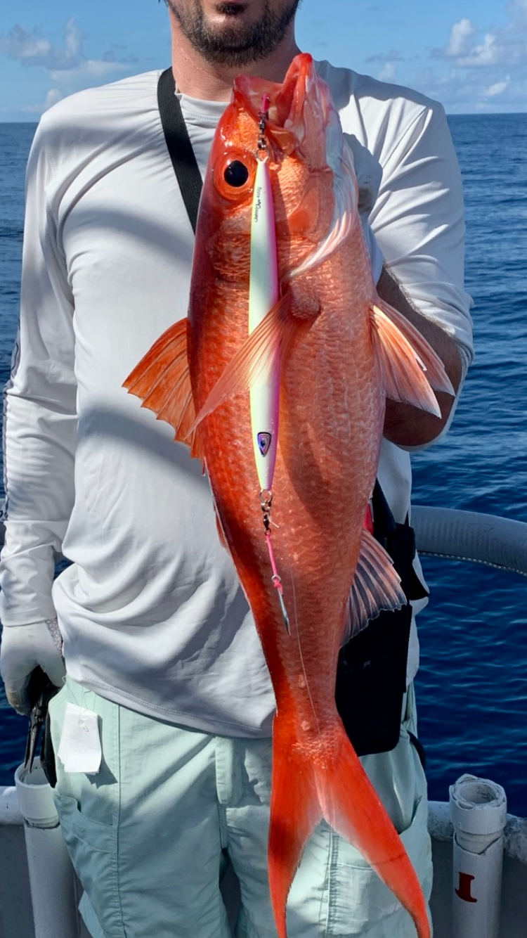 Queen Snapper Slow Pitch Jigging