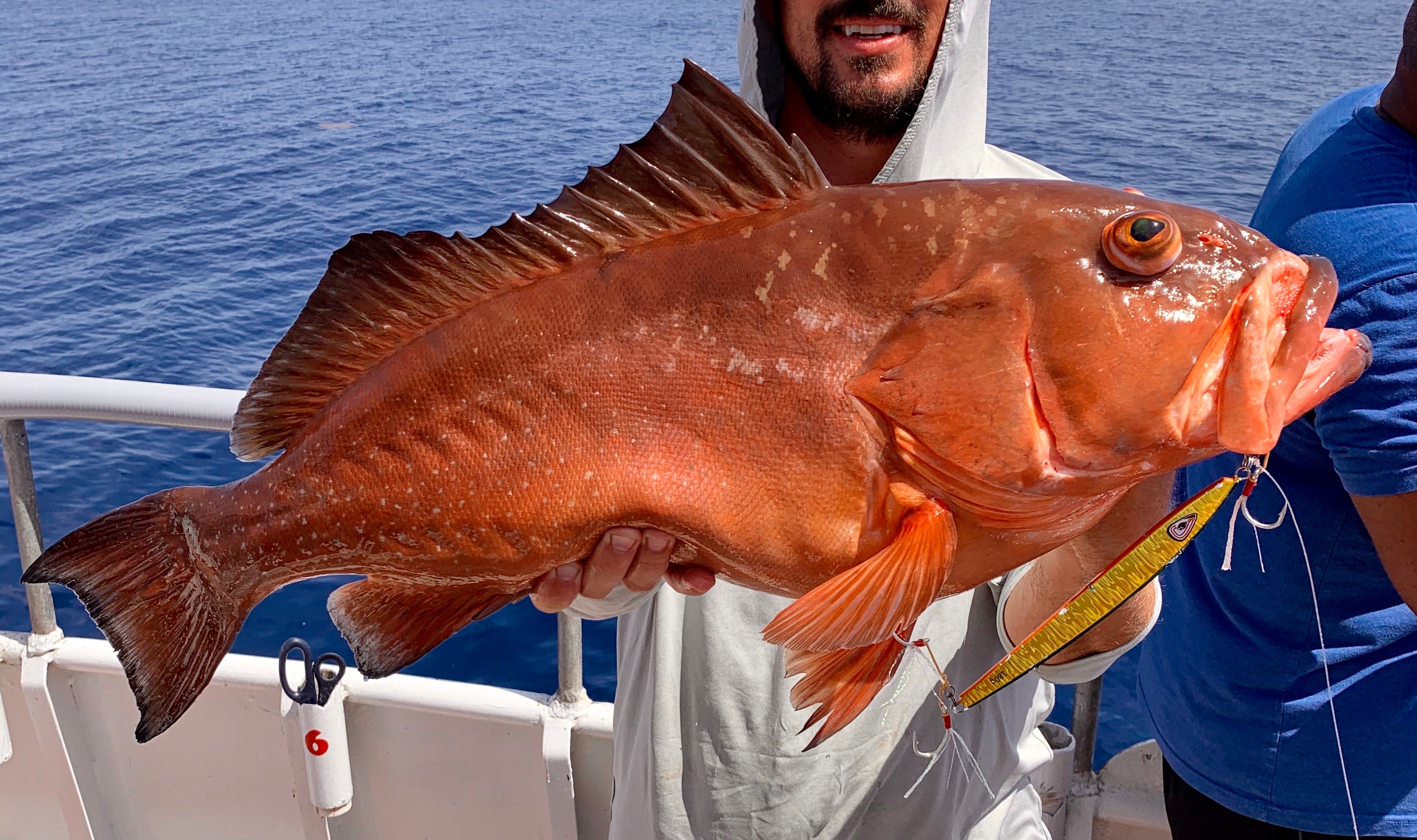 Flatty "Pumpkin" 160g, 180g, 200g