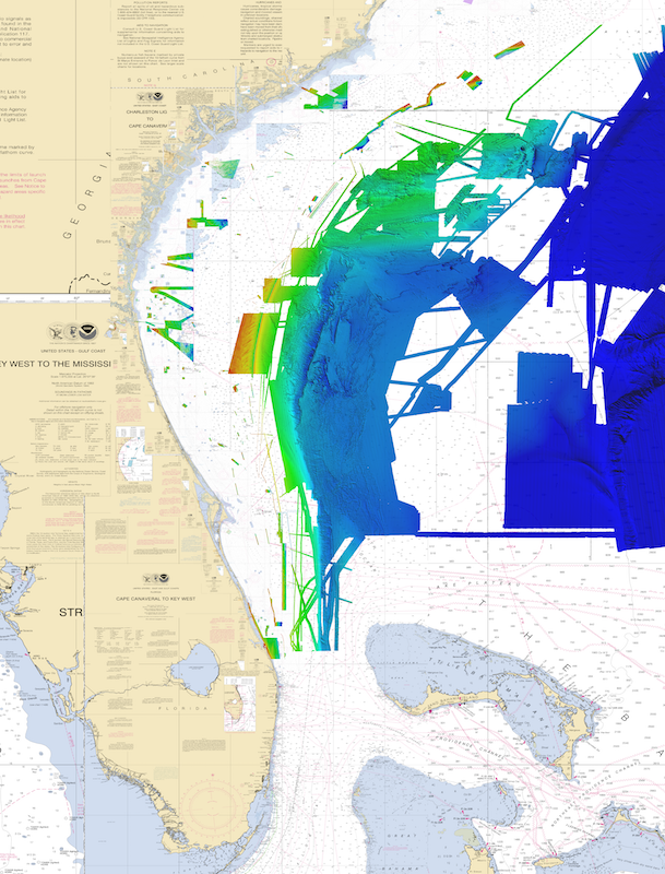 CMOR MAPPING CHIPS - NE FL - GA - SC