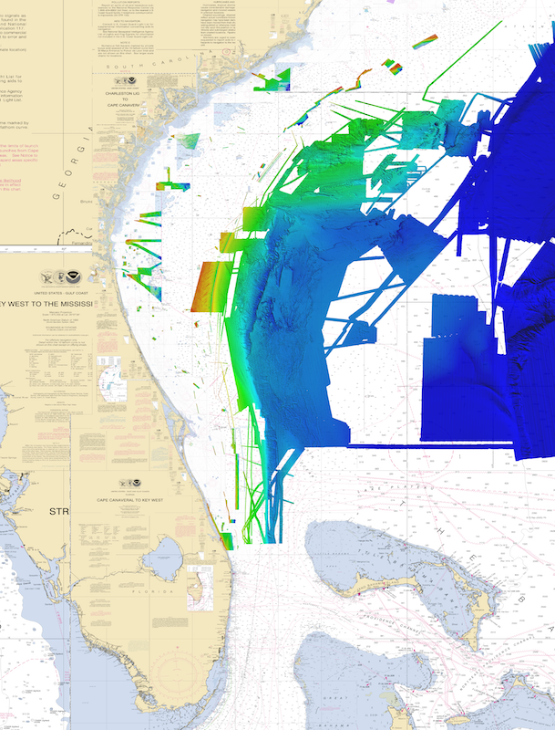 Florida Map Chip CMOR Mapping Chips