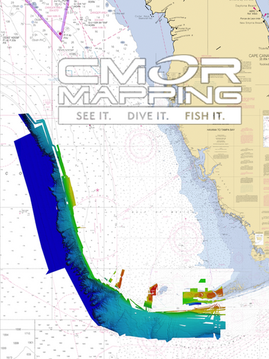Florida Map Chip CMOR Mapping Chips